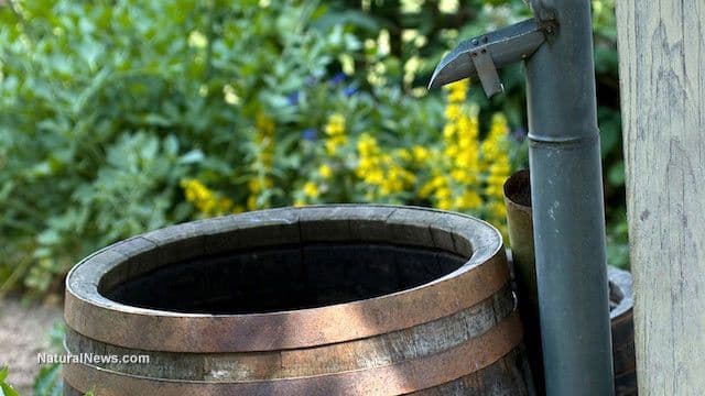 All4Water: Ihr Online-Experte für Regenmanager und Zubehör
