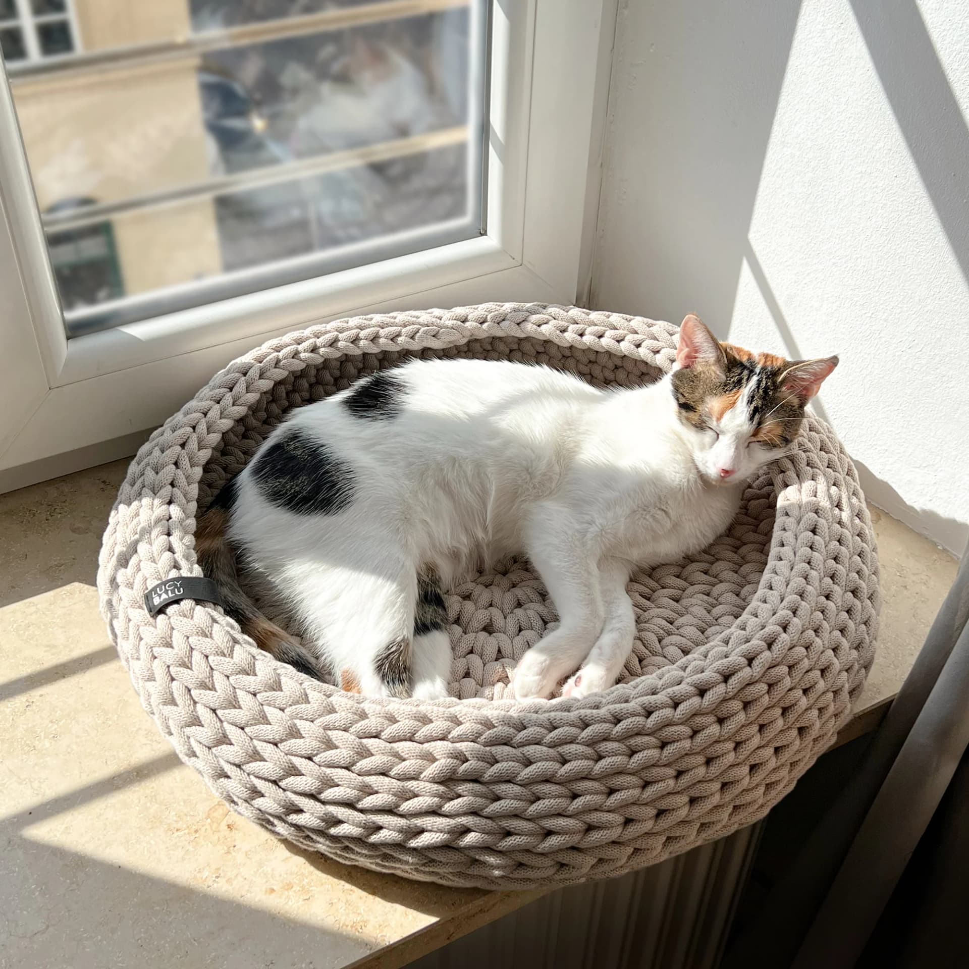 Die besten Katzensofaen für den Sommer