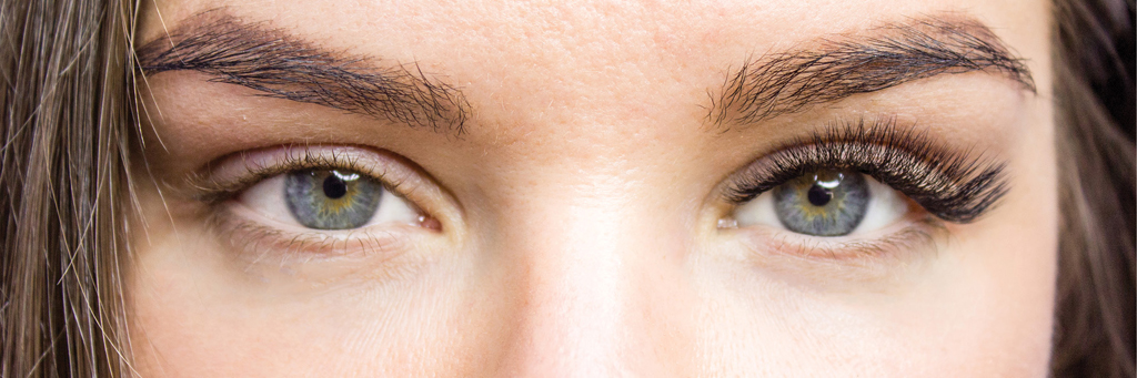 LashLink: Der Geheimtipp für Zola Augenbrauenfarbe und Wimpernverlängerungsprodukte