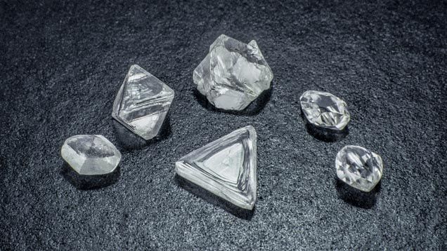 Diamant Stein: Odyssee durch die türkisfarbenen Baumwipfel