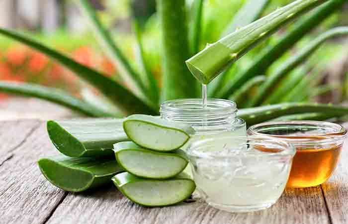 Ihre zentrale Anlaufstelle für Forever Living Aloe Vera-Produkte