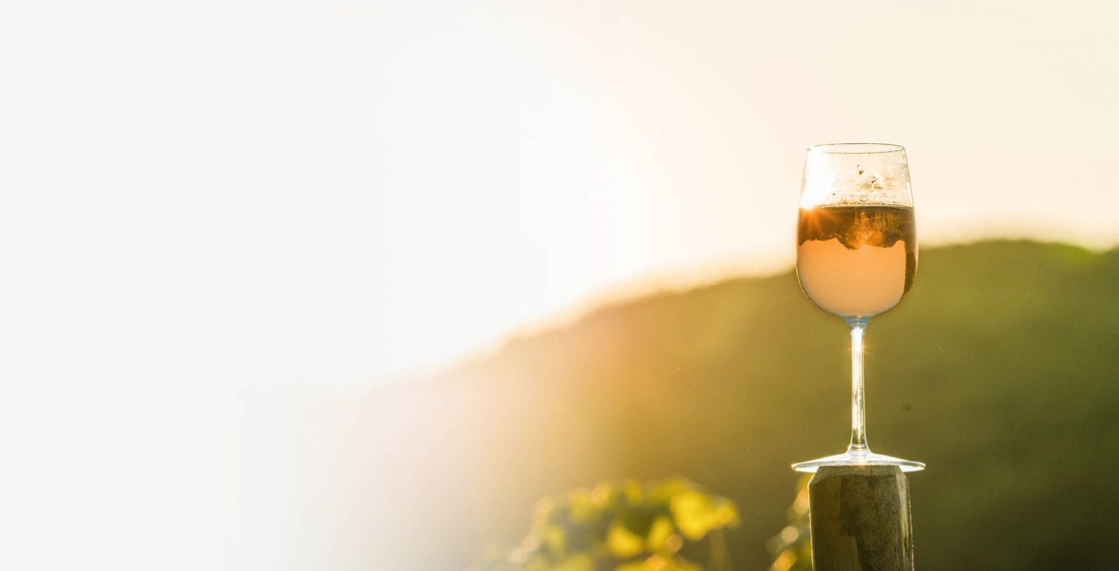 Die besten Tipps für den Wein Online Shop: So finden Sie Ihren Lieblingswein