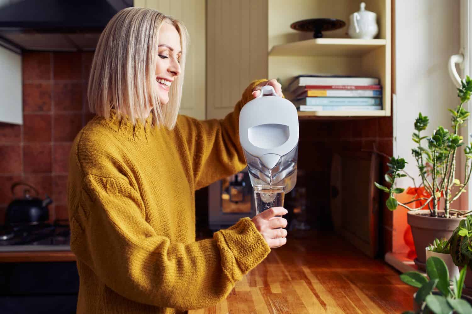 Brita vs Pur: Best Options for Healthy, Clean Water