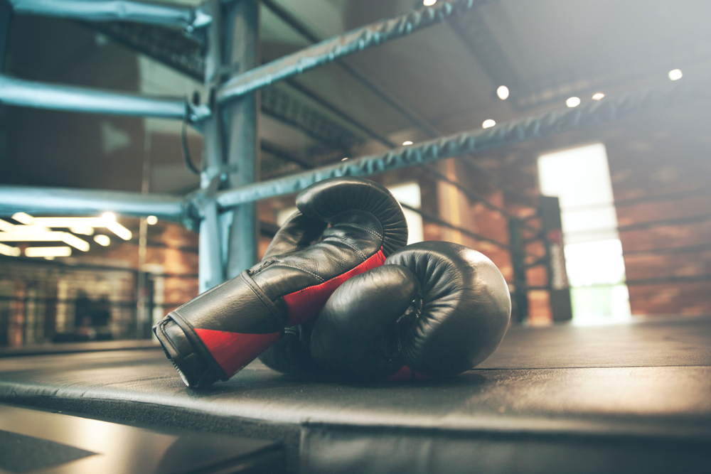 Die besten Boxhandschuhe für ein sicheres Training bei PittsWear!