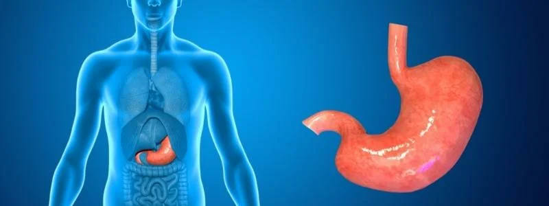 Magen Op Türkei – Modernste Kliniken und erfahrene Chirurgen